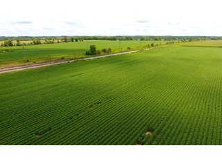 Property photo 15 - LAND AUCTION - 84+/- ACRES IN RUSH COUNTY, INDIANA